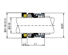 LAPP-21M